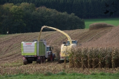 mais_haeckseln012_20131103_1149200330_20150411_1050273411