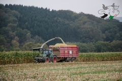 Mais-Ernte-10-20141005_