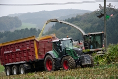 Mais-Ernte-8-20141005_