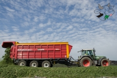 silo_ernte_-_2829_-_20140607__20150411_1269374913