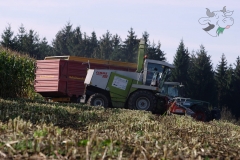 schatzkiste2005017_20140113_1571019859_20150411_1400496247