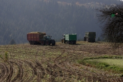 schatzkiste2005021_20140113_1400159399_20150411_1045705496