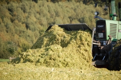 schatzkiste2009047_20140113_1042171666_20150411_1175057169