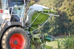 schatzkiste2009050_20140113_1771501146_20150411_1409931117